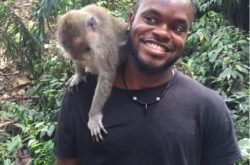 Bali Indonesia Monkey Forrestv2
